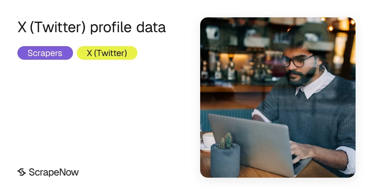 How to extract X (Twitter) profile data