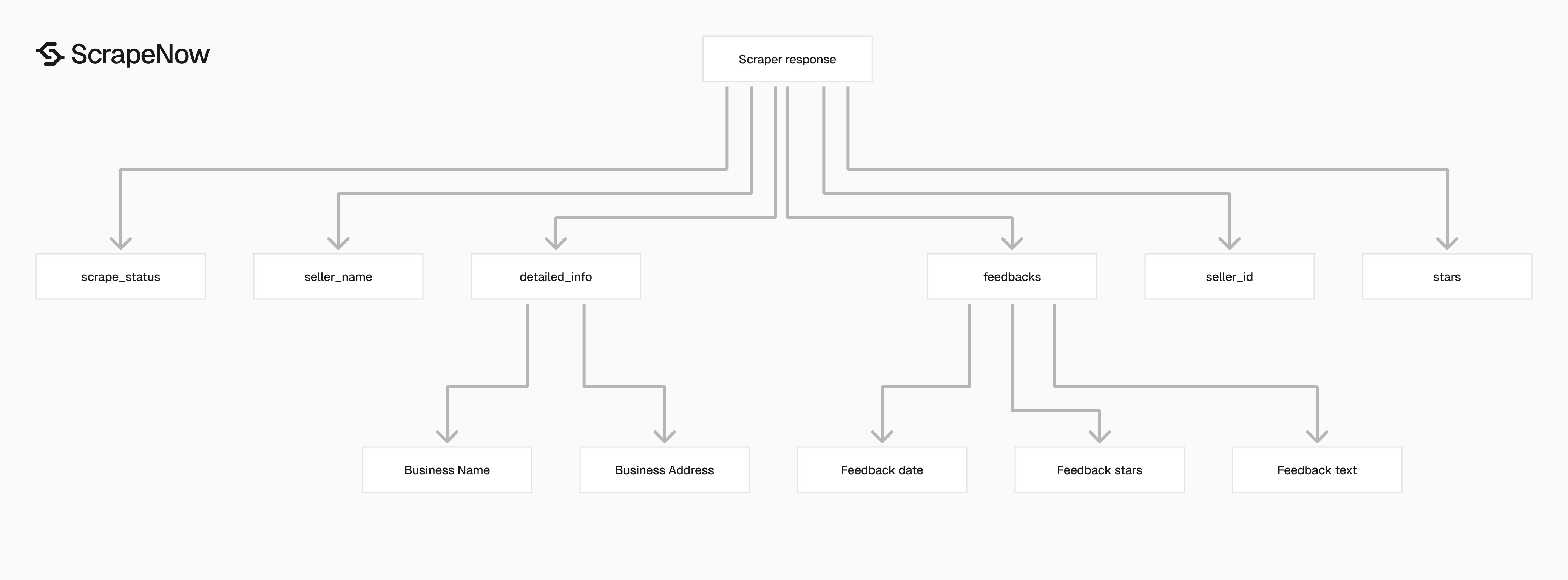 Amazon Sellers Scraper output schema