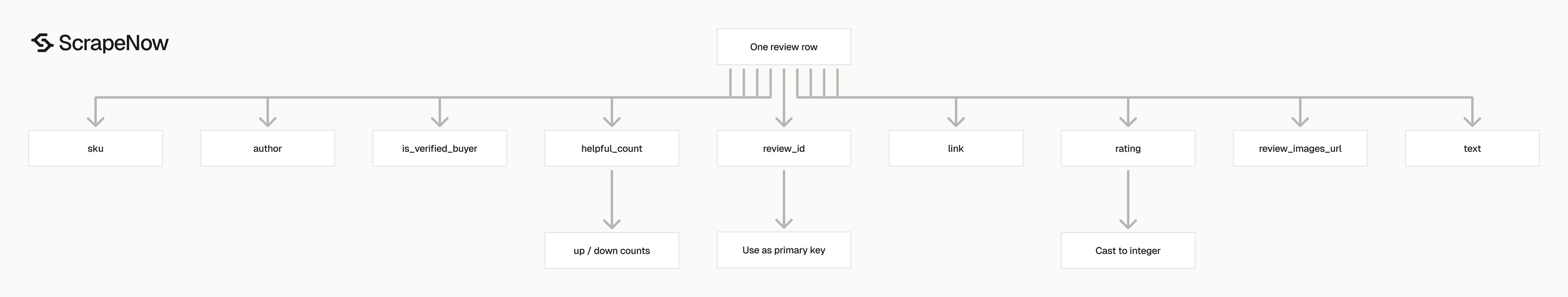 Flipkart Reviews Scraper output schema