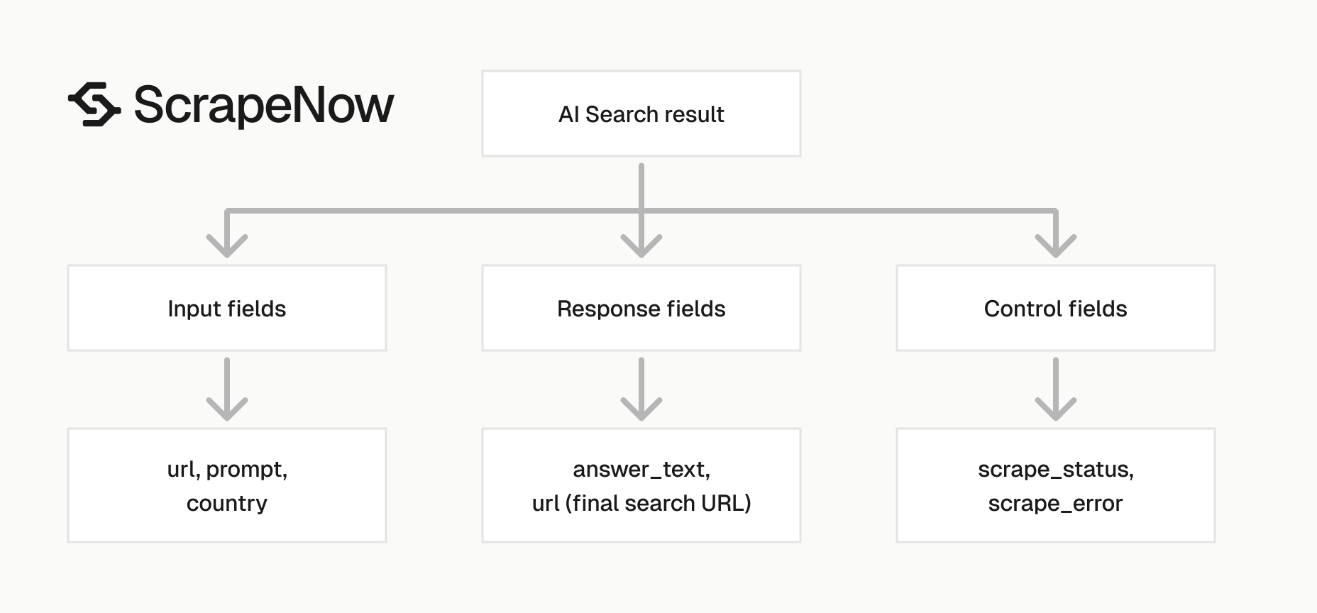 Google AI Search Scraper output schema