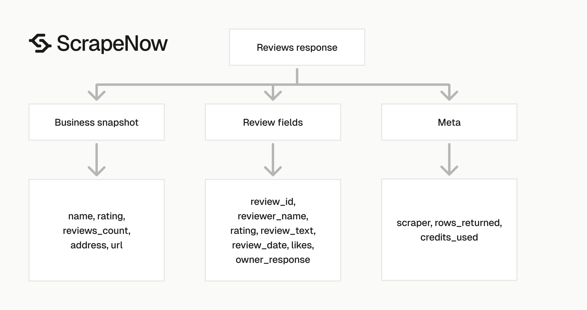 Google Maps Reviews Scraper output schema