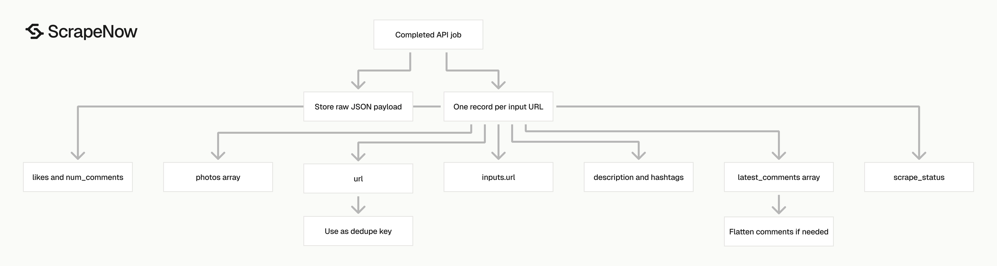 Instagram Posts Scraper output schema