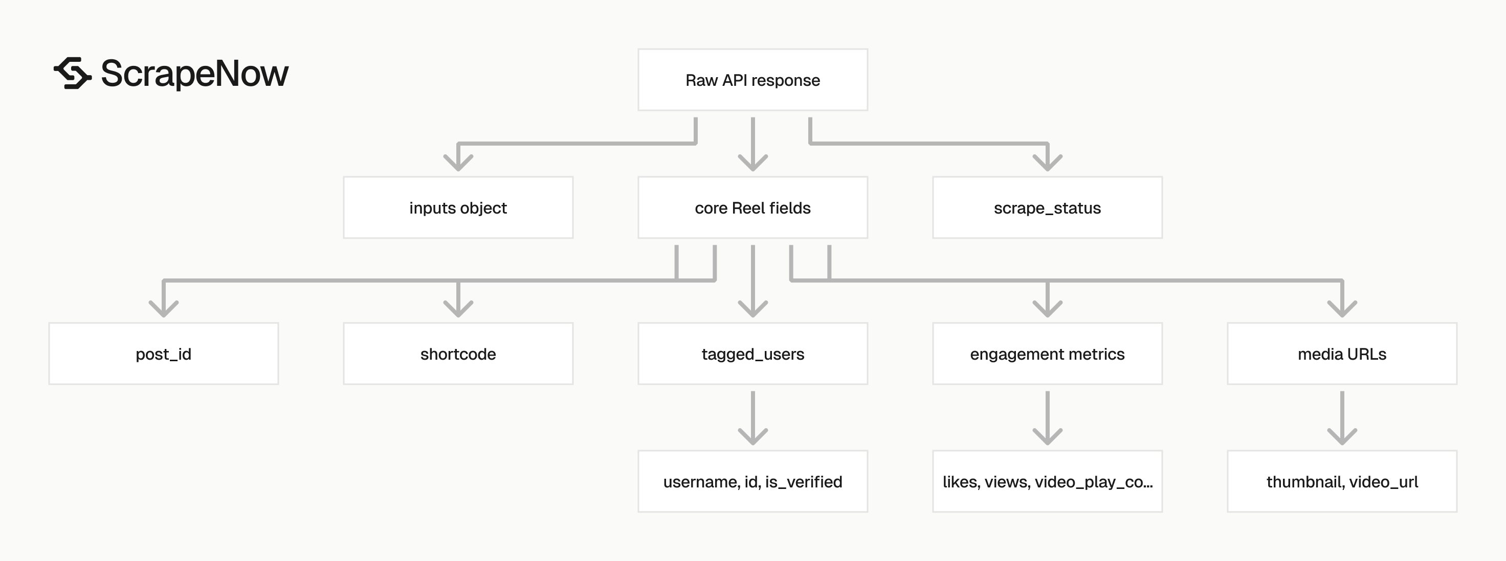 Instagram Reels Scraper output schema