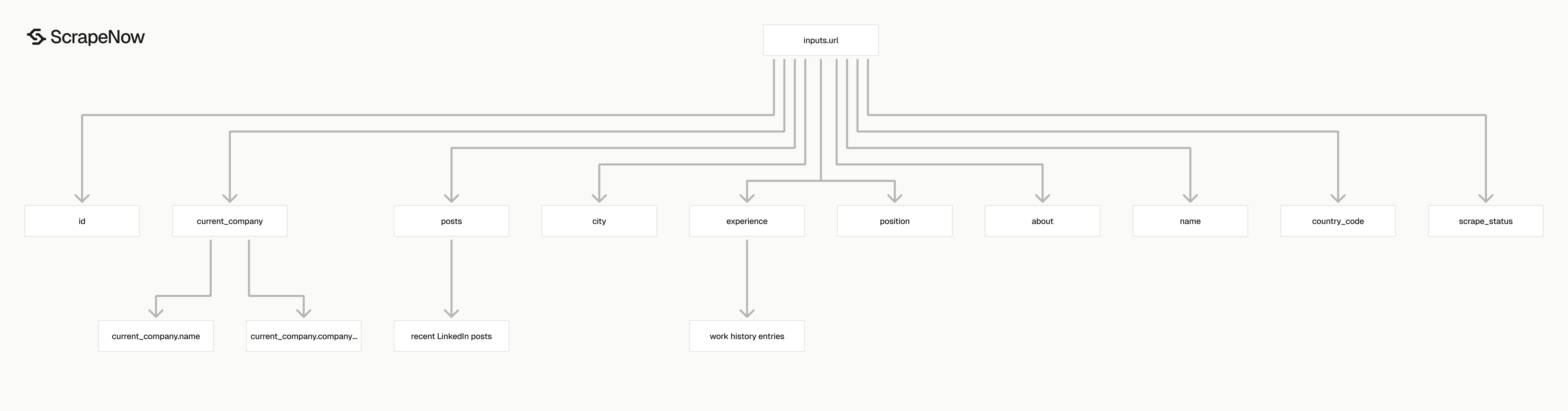 LinkedIn Profiles Scraper output schema